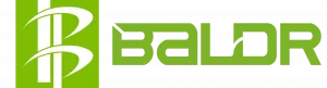 Logo Baldr